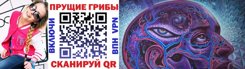 Псилоцибиновые грибы мухоморы  Белый 